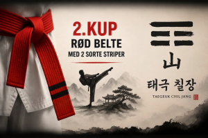 Taegeuk Chil Jang Poomsae 7