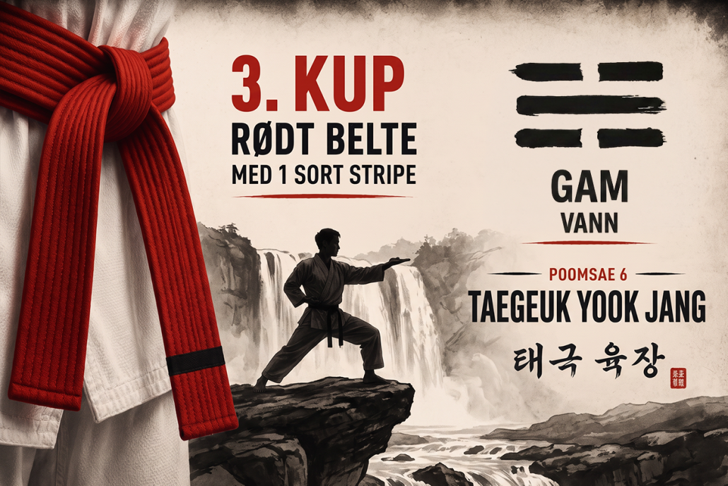 Taegeuk Yook Jang Poomsae 6