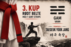 Taegeuk Yook Jang Poomsae 6