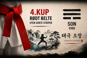 Taegeuk Oh Jang Poomsae 5