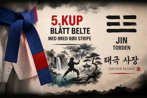 Taegeuk Sah Jang Poomsae 4