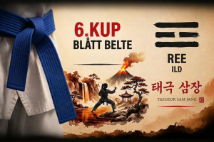 Taegauk Sam Jang Poomsae 3