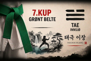 Taegeuk I Jang Poomsae 2