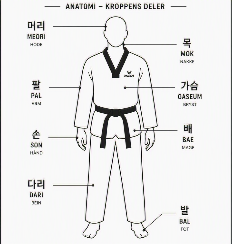 Navn på kroppsdeler Koreansk