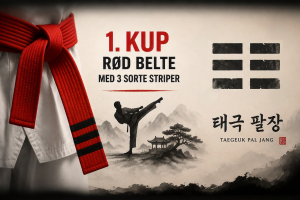 Taegeuk Pal Jang Poomsae 8